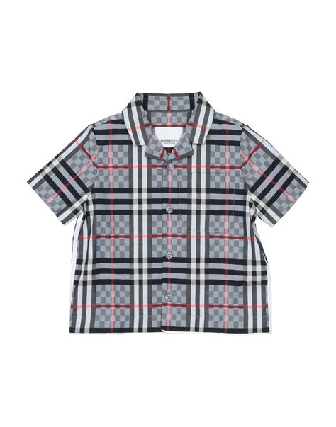 burberry shirt 12 months